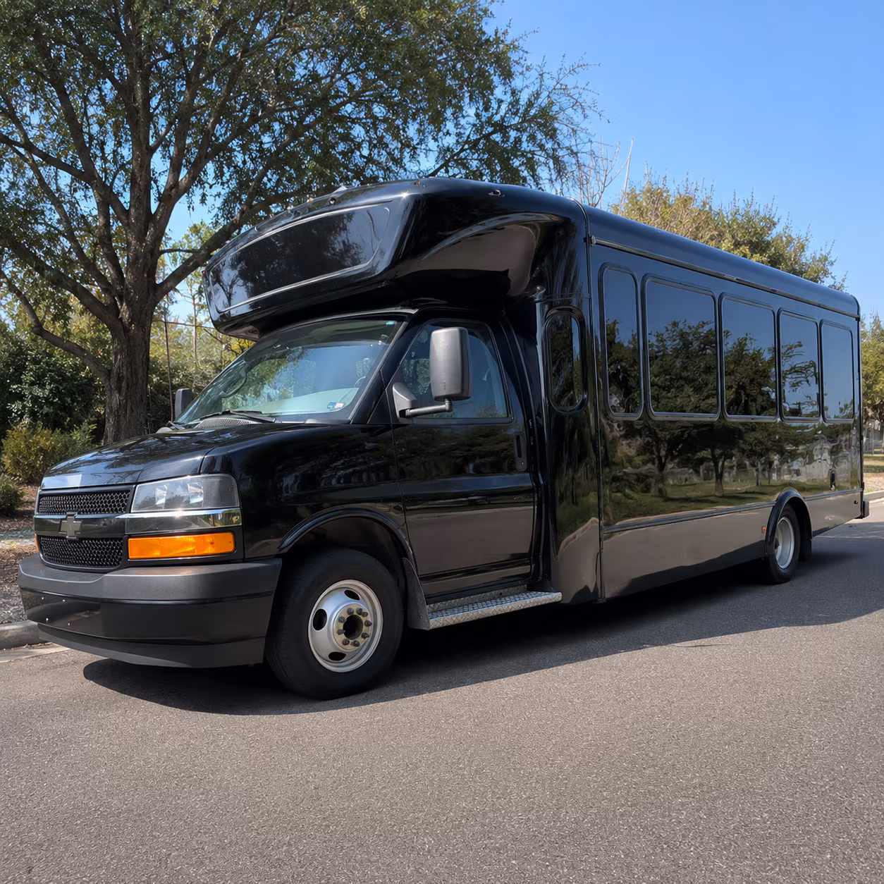 Passenger watching the Mesquite scenery during a regional party bus road trip