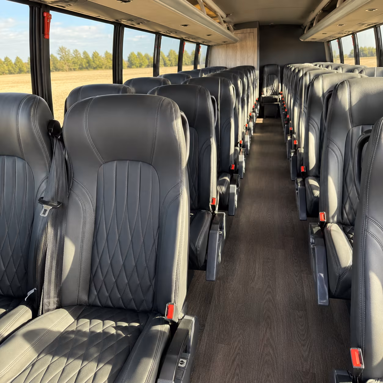 Mesquite School Event Transportation party bus exterior
