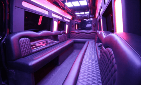 Longview 14 Passenger Sprinter Bus Interior